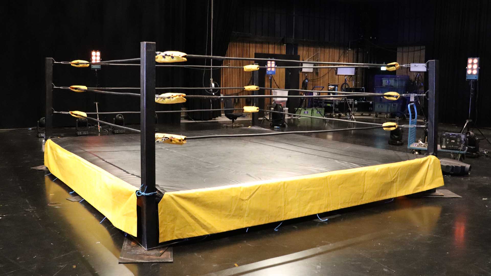 Leie av wrestlingring / boksering: Norsk eliteWRESTLING tilbyr utleie av Norges mest mobile wrestlingring («boksering»), og det innebærer rask opprigg og nedrigg. Wrestlingringen kan leies til bruk som scene, podium eller kulisse på arrangementer eller i forbindelse med TV-produksjon, film og reklame. Wrestlingringen kan også brukes til oppvisninger innen kampsport, boksing og liknende.